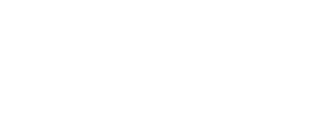 Savannah Tech Logo