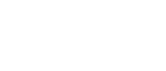 South GA Tech Logo