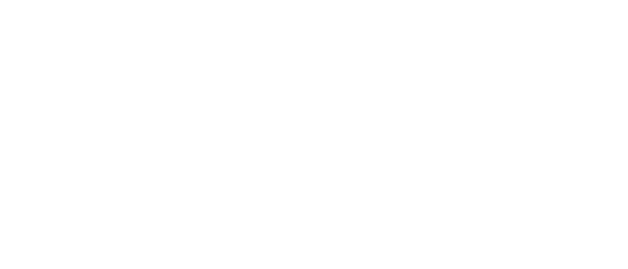 Southeastern Tech Logo